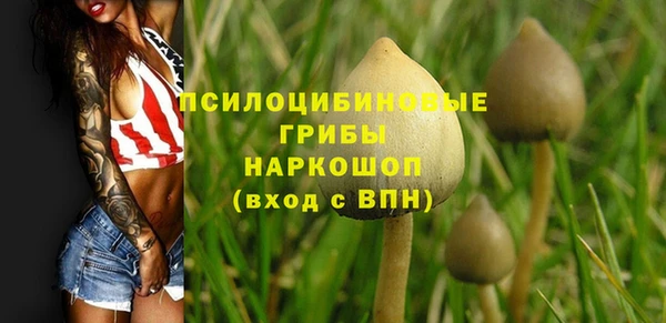 хмурый Балабаново