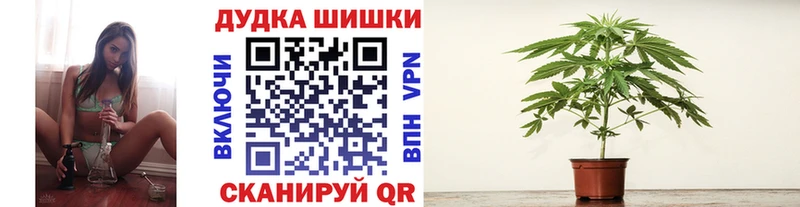 Шишки марихуана планчик  как найти наркотики  Бахчисарай 